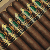 God of Fire KKP Never Back Down Gran Toro 56