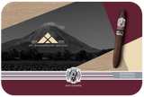 AVO Syncro Nicaragua 10th Anniversary