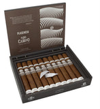 Plasencia Alma del Campo - Travesia - (Box-Pressed Toro)