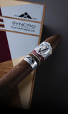 AVO Syncro Nicaragua 10th Anniversary