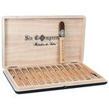 Paladin de Saka (Sin Compromiso)