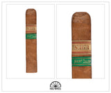 Saga Short Tales Tomo VII