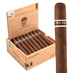 Roma Craft Cromagnon PA Cranium