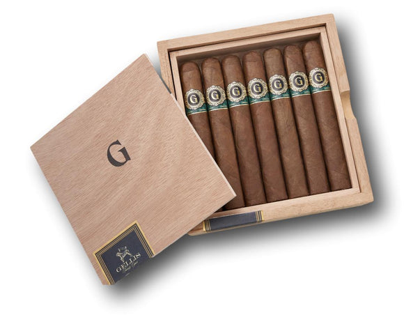 Warped Absolutos Corona Gorda