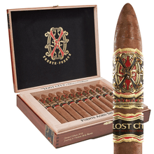 Load image into Gallery viewer, Opus X Lost City Double Robusto